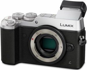 Panasonic Lumix DMC-GX8-02